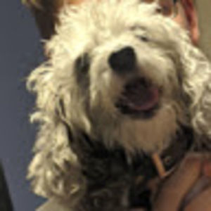 Meet your Posher, Richard